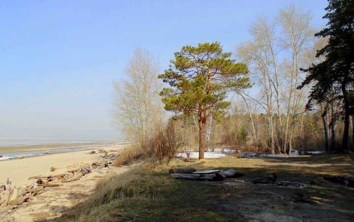 Весенний этюд.
