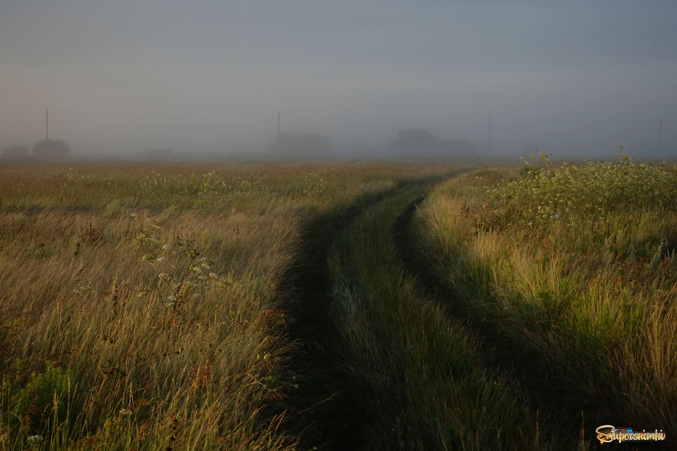 Дорога в туман