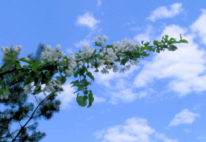 And we have spring today!