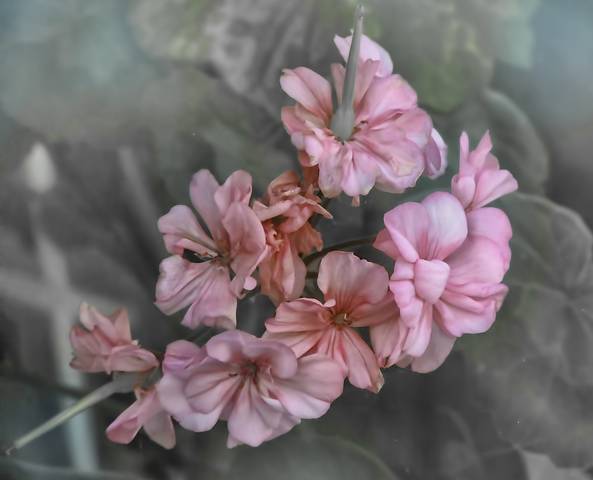 Через стекло