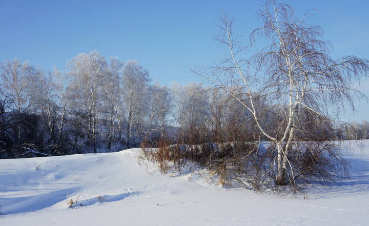 Зайчишки наследили.