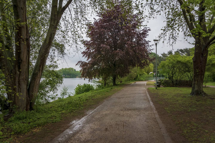В утренней свежести