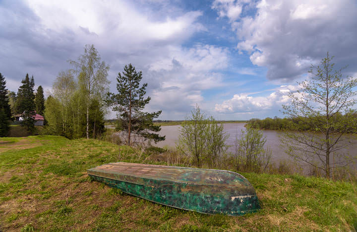 Весна в начале мая