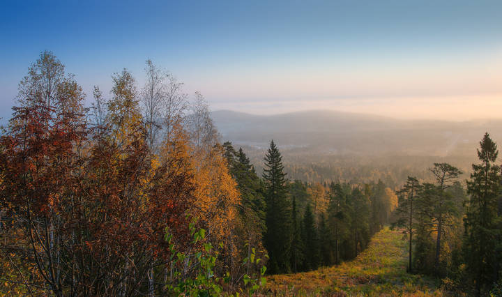 Осеннее утро