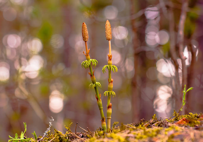 # 2