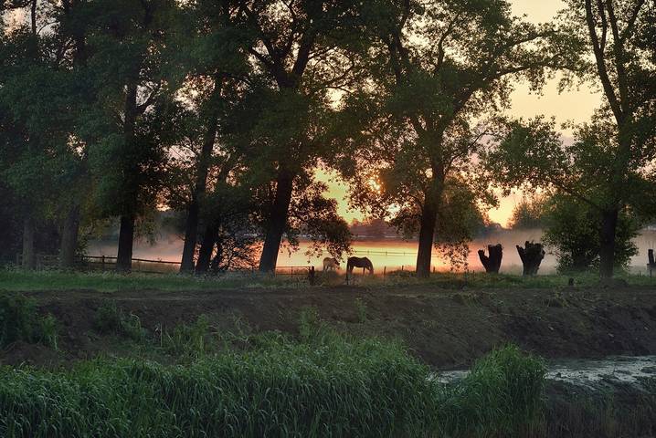 ***