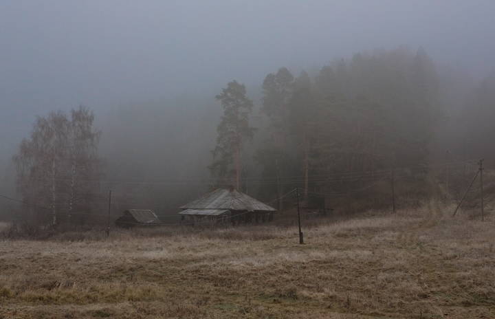 Последние заморозки