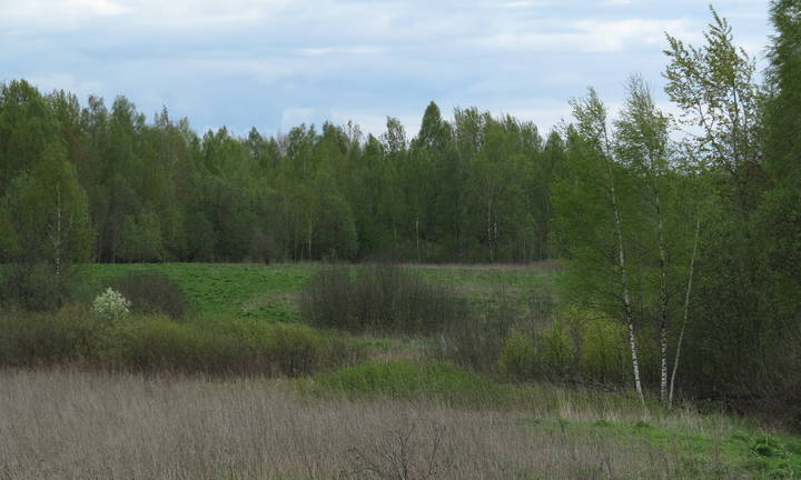 Майское