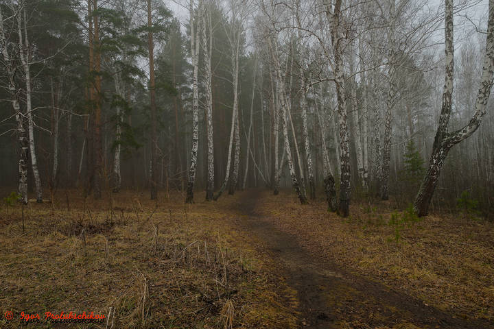 -Тропой извилистой,туманной...