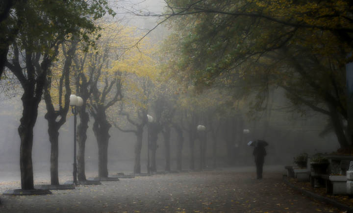Про зонтик......