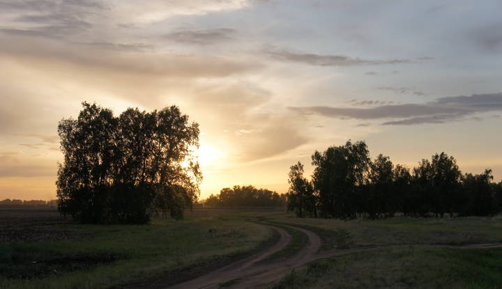 Две дороги расходятся фото