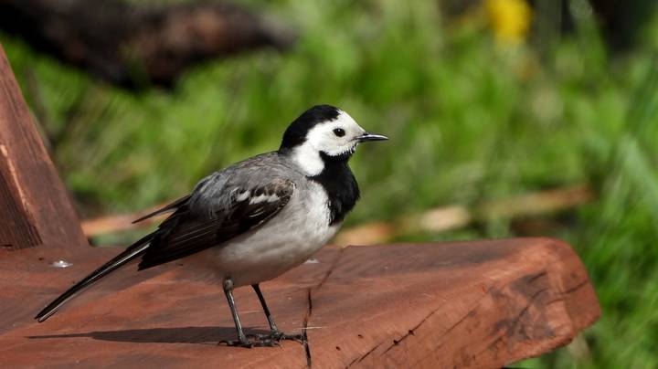 # 1