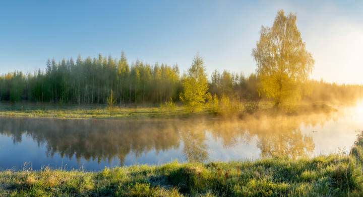 Морозным майским утром