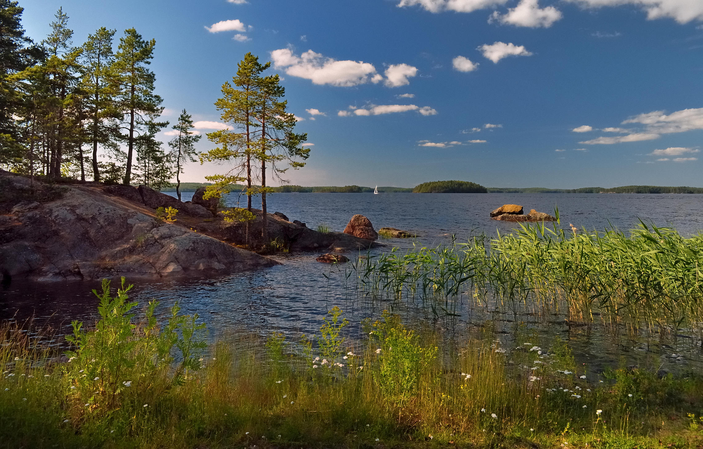 Финляндия озеро сосны