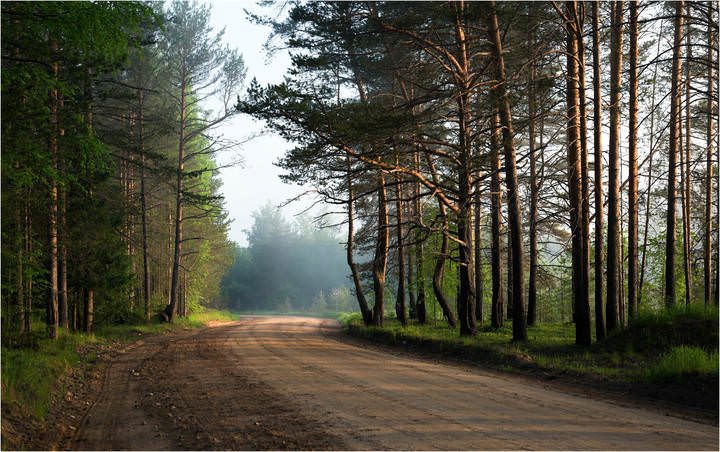 Утренняя дымка