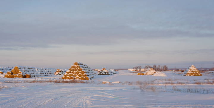 Сельский зимний пейзаж.