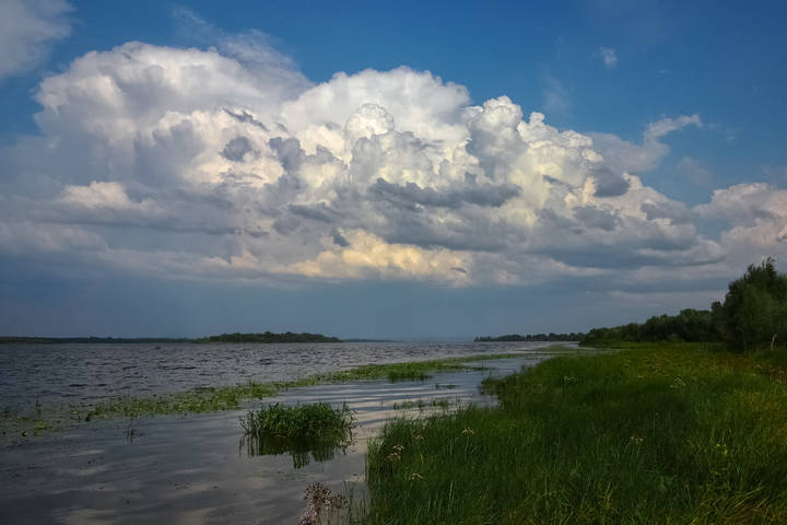 Они присматривают за нами...