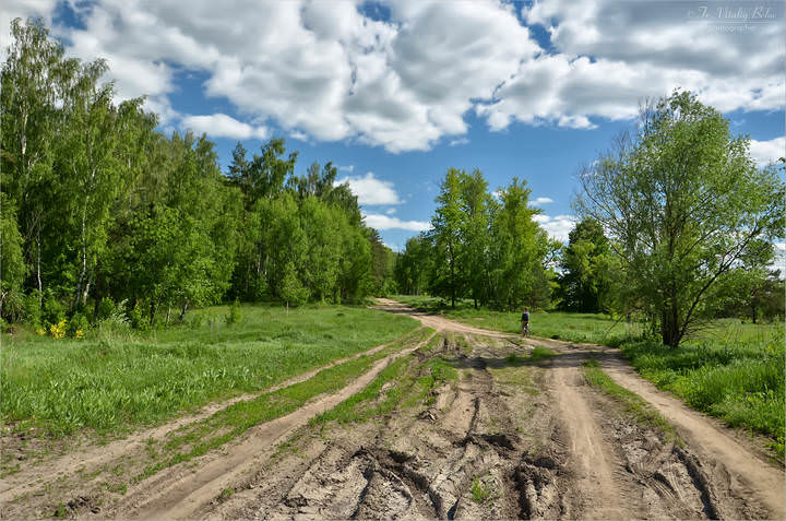 По бездорожью