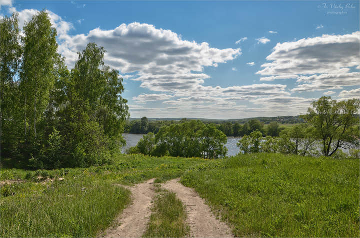 Дорога к реке