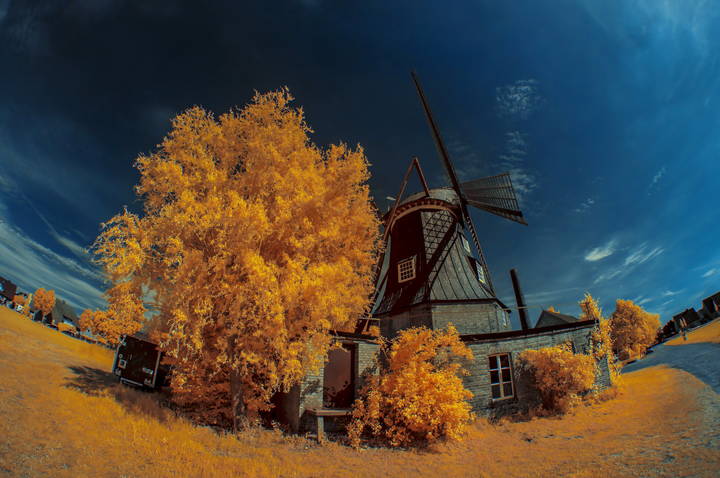 В пышном окружении