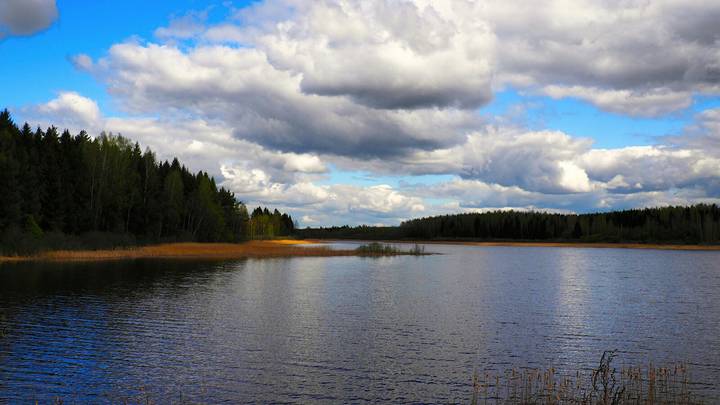 Природа Смоленщины