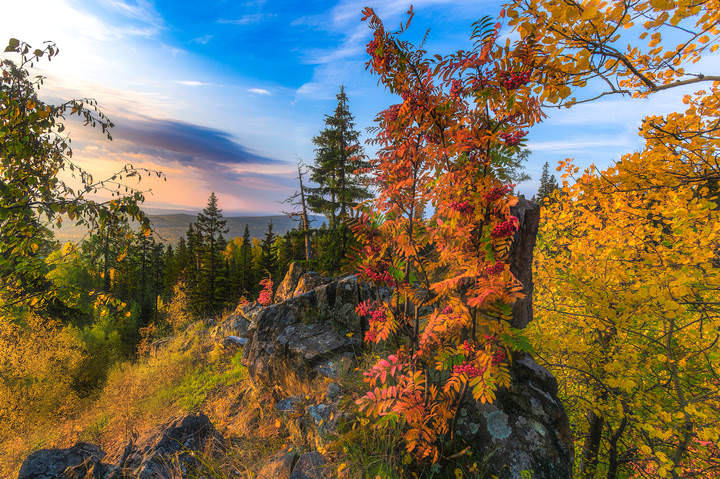 Краски осени
