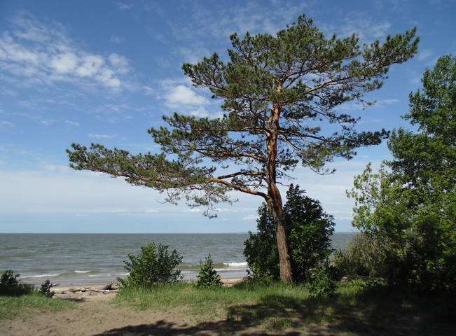 На берегу. 