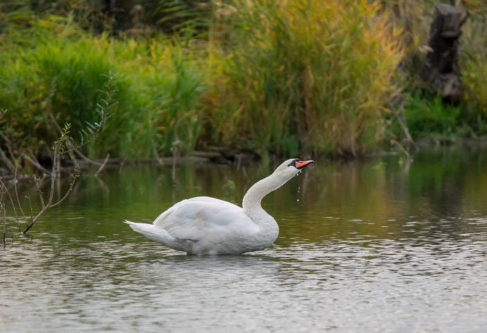 # 4