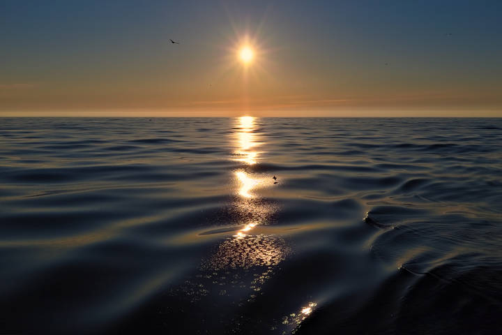 bronze sun
