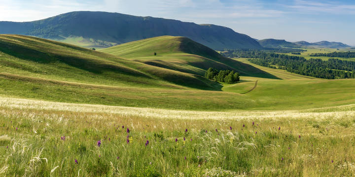 Уральские луга
