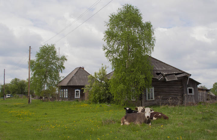 Лето в деревне