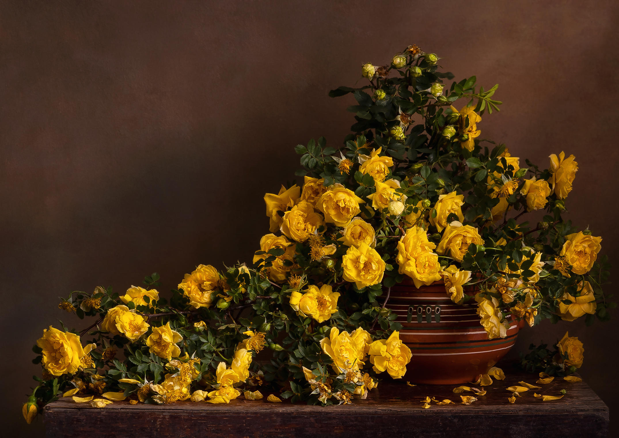 Жёлтые чайные розы.