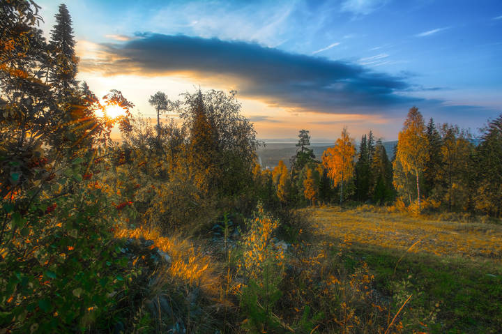 Утреннее солнце