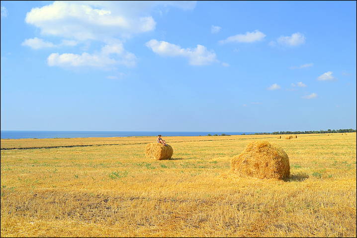 ЛЕТНИЙ ПОЛДЕНЬ.