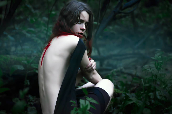 Tales of the Dark Woods 