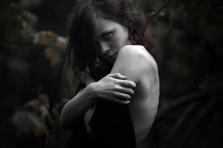 Tales of the Dark Woods 