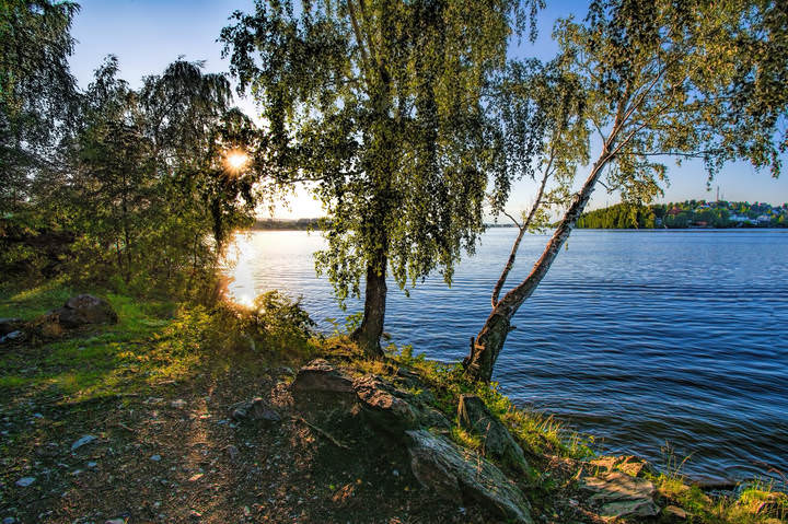 Вечерний луч