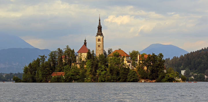 Блед
