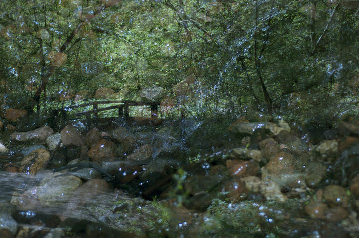CreekDream