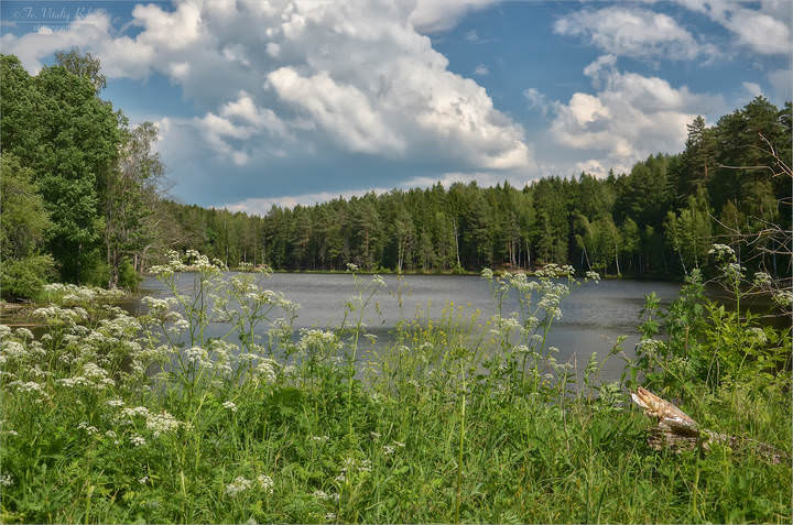 Утопая в зелени