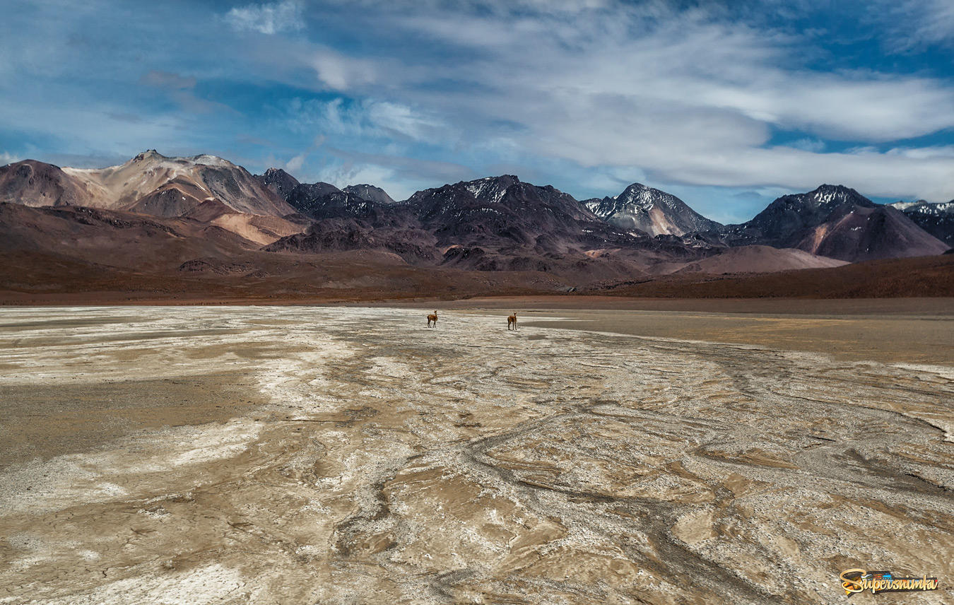 Путешествуя по Боливии...высота 4500м над уровнем моря!