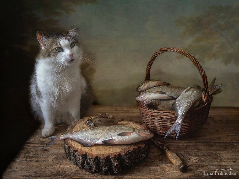 Портрет кота Лёвы с рыбой