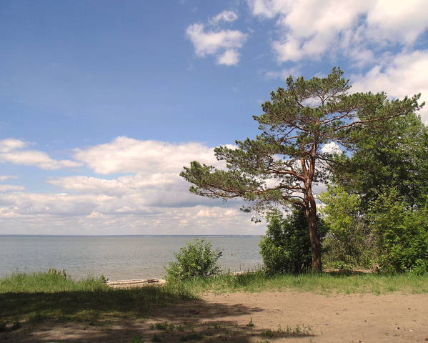 На берегу Обского водохранилища.
