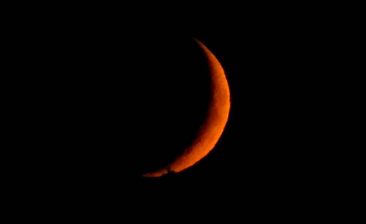 золотой рог