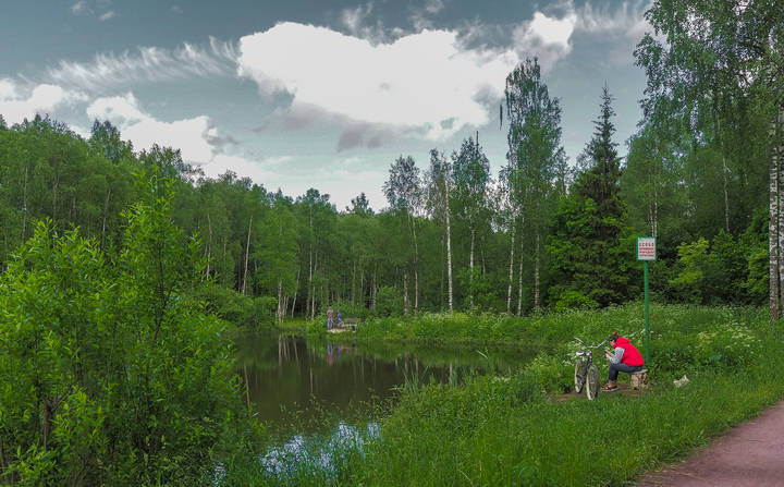 В Летнем Парке