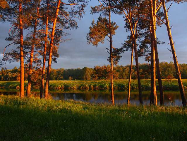 река Угра