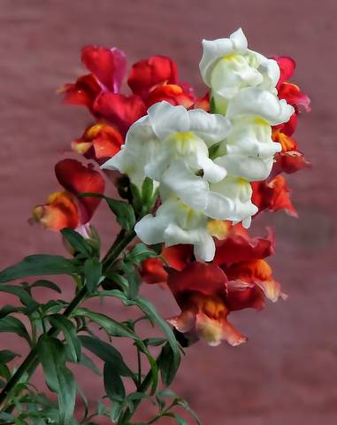 # 5
