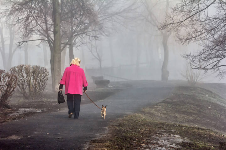 Двое в тумане не считая собаки