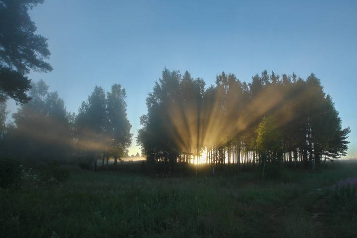Утро на Сутке