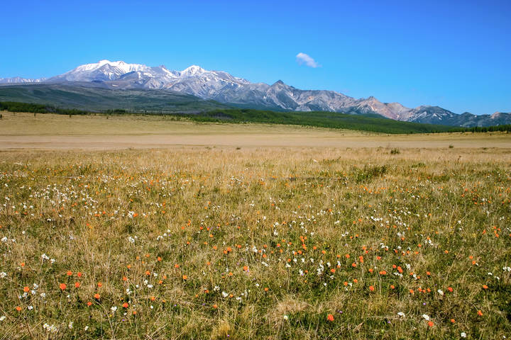 Монгольская степь.